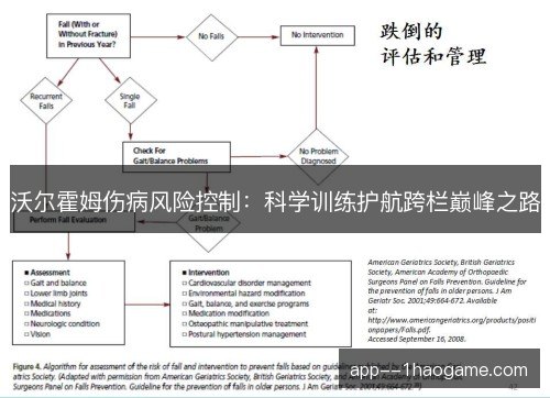 沃尔霍姆伤病风险控制：科学训练护航跨栏巅峰之路